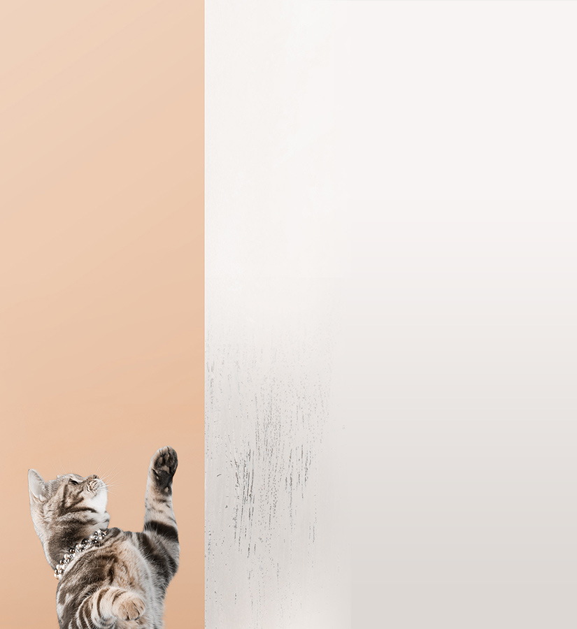 Bevictor伟德官网-韦德(中国)体育-伟大始于1946