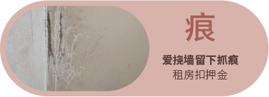 Bevictor伟德官网-韦德(中国)体育-伟大始于1946