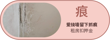 Bevictor伟德官网-韦德(中国)体育-伟大始于1946