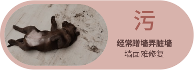 Bevictor伟德官网-韦德(中国)体育-伟大始于1946