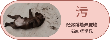 Bevictor伟德官网-韦德(中国)体育-伟大始于1946