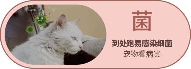 Bevictor伟德官网-韦德(中国)体育-伟大始于1946