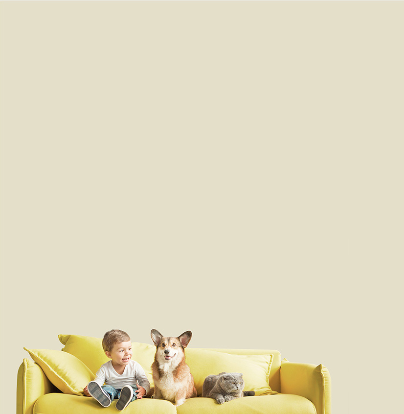 Bevictor伟德官网-韦德(中国)体育-伟大始于1946