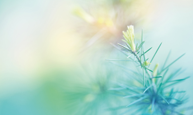 Bevictorΰ�¹���-Τ��(�й�)����-ΰ��ʼ��1946