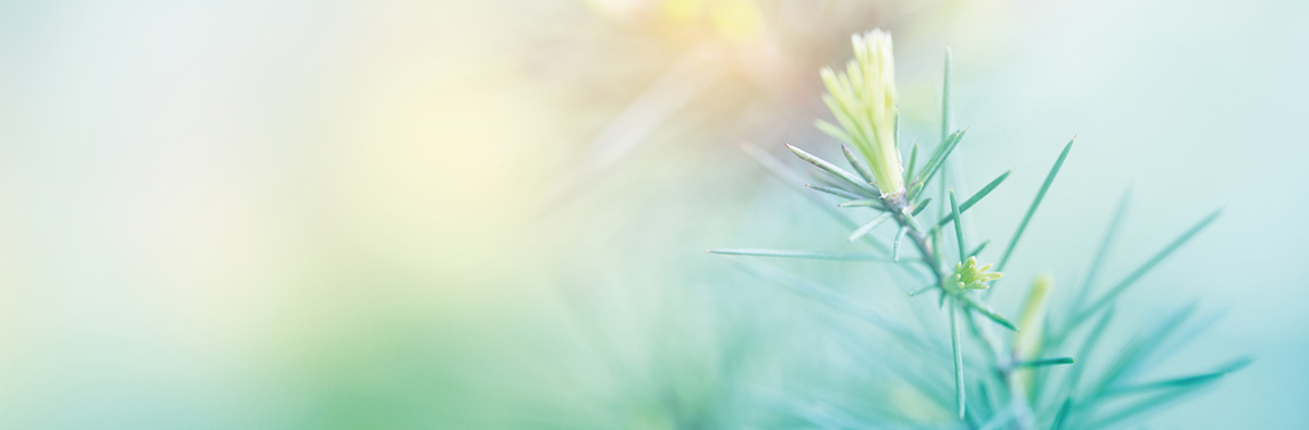 Bevictorΰ�¹���-Τ��(�й�)����-ΰ��ʼ��1946