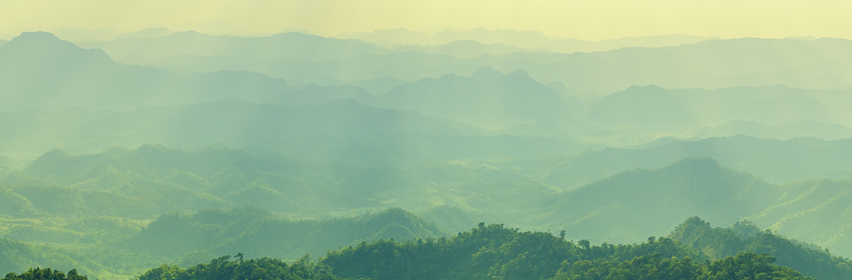 Bevictorΰ�¹���-Τ��(�й�)����-ΰ��ʼ��1946