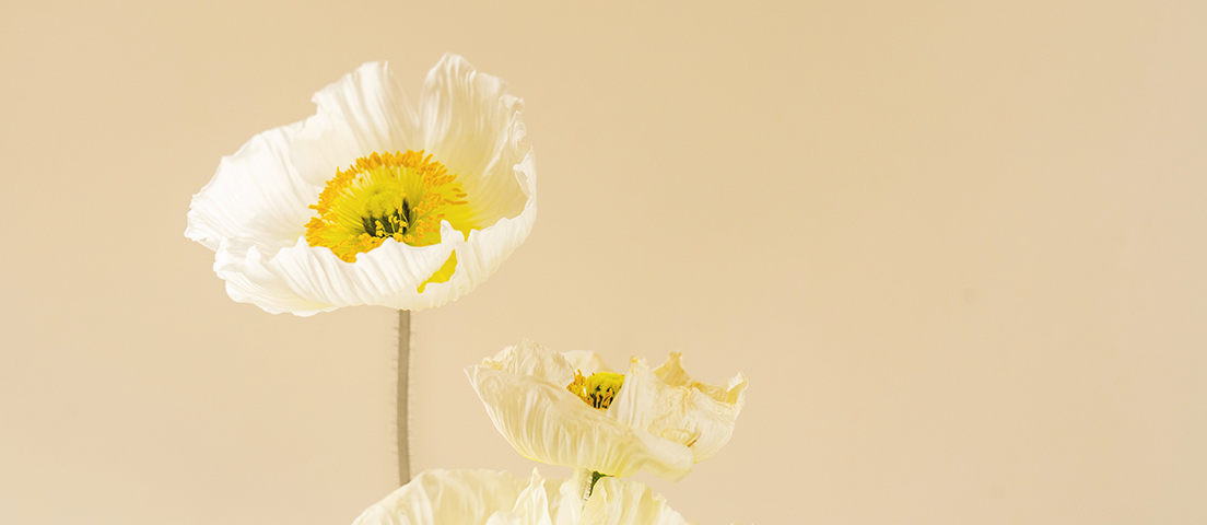 Bevictorΰ�¹���-Τ��(�й�)����-ΰ��ʼ��1946