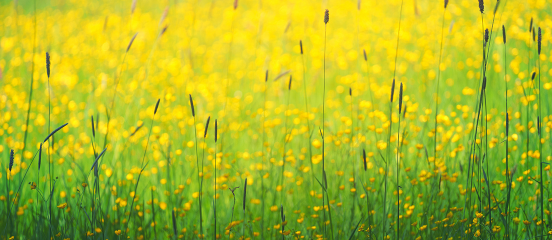 Bevictorΰ�¹���-Τ��(�й�)����-ΰ��ʼ��1946