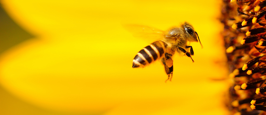 Bevictorΰ�¹���-Τ��(�й�)����-ΰ��ʼ��1946